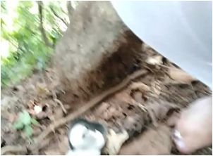 Indian village women pissing in the toilet keezmovies video